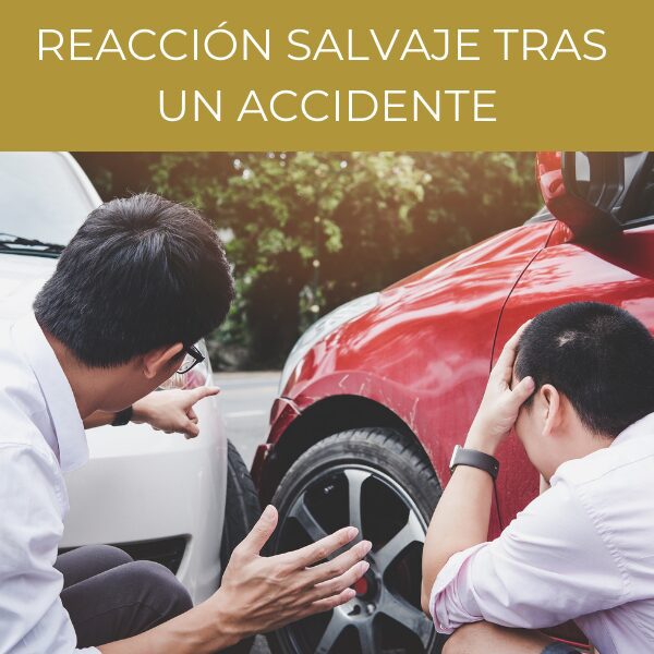 Two men react to a car accident.