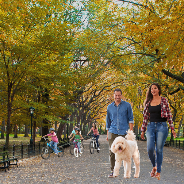 herido por un perro en Nueva York: foto de personas con perros en Central Park